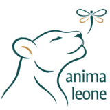 anima leone